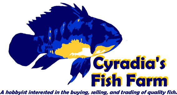 Fish Logo