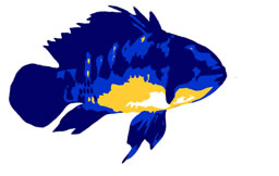 Fish Logo